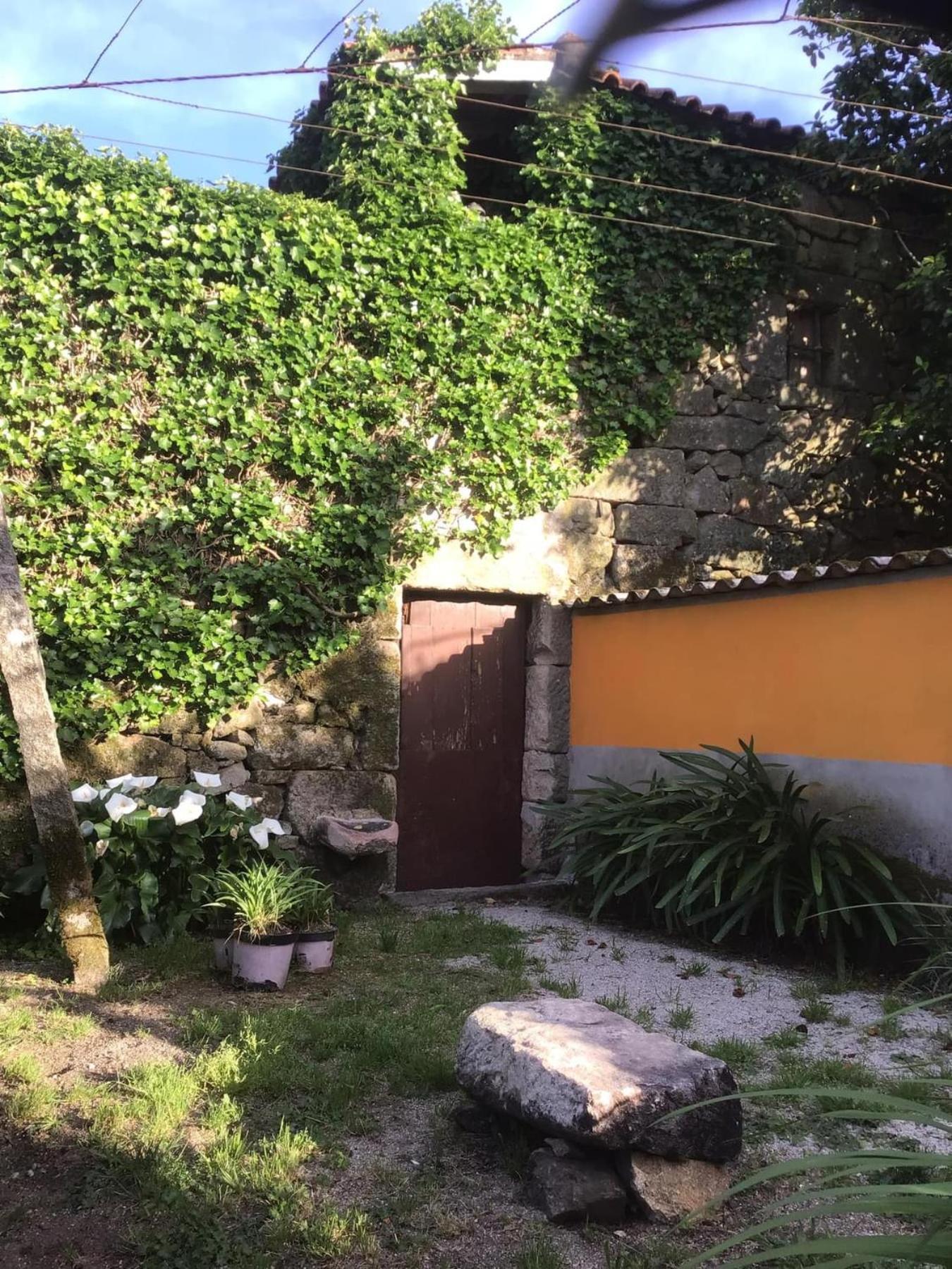 Casa De Cerqueda Apartment Celorico De Basto Exterior foto
