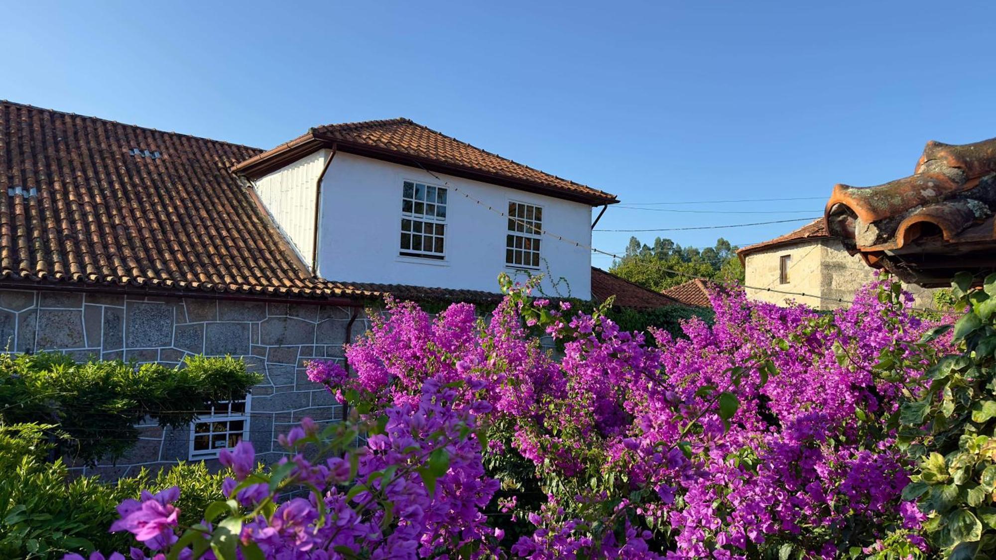 Casa De Cerqueda Apartment Celorico De Basto Exterior foto
